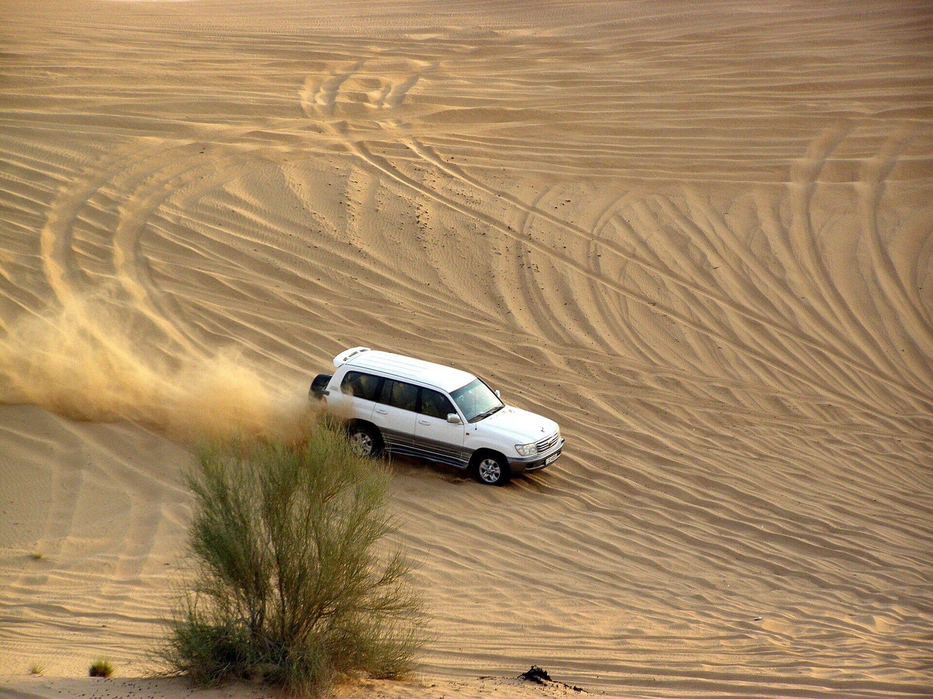 Premium Desert Safari with Dune Drive, Camel Ride & BBQ Dinner 3